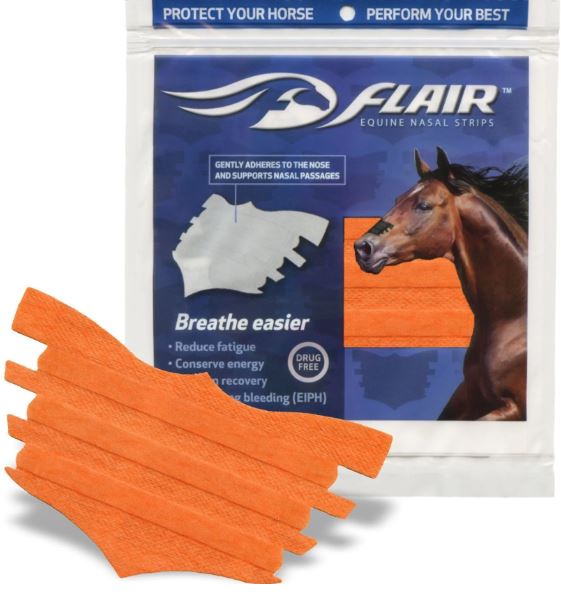 FLAIR Nasal Strips