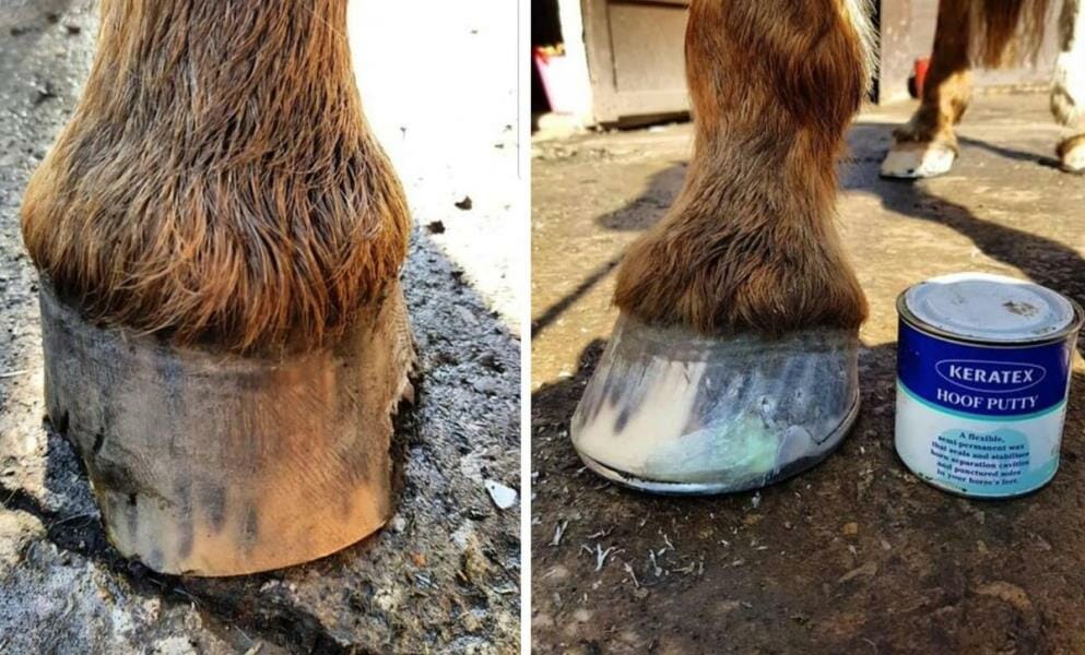 Keratex Hoof Putty - For sprukne og tørre høver