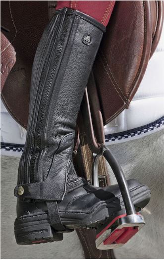Chaps Mountain Horse