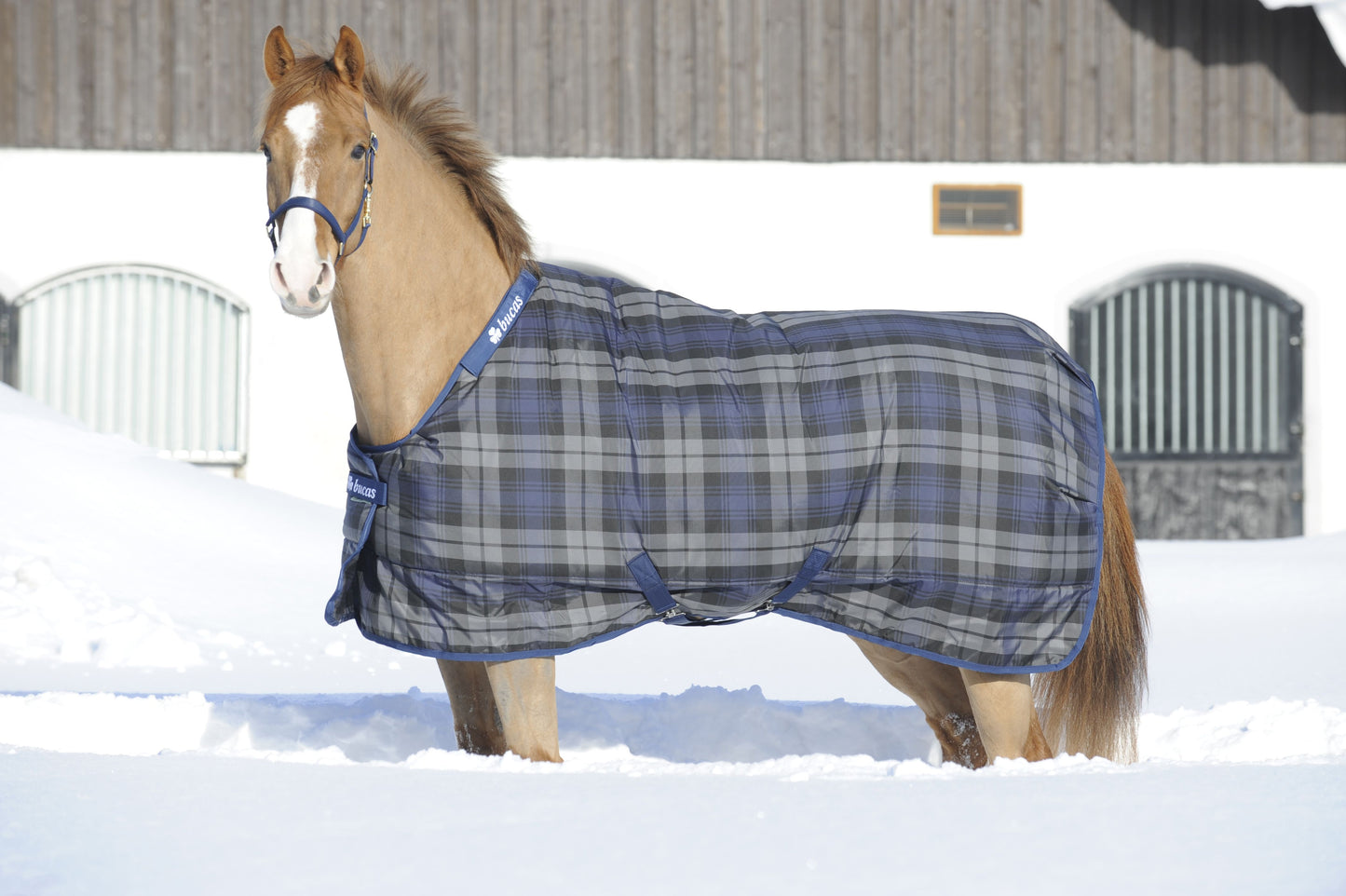 Bucas Stable Xtra Stalldekken