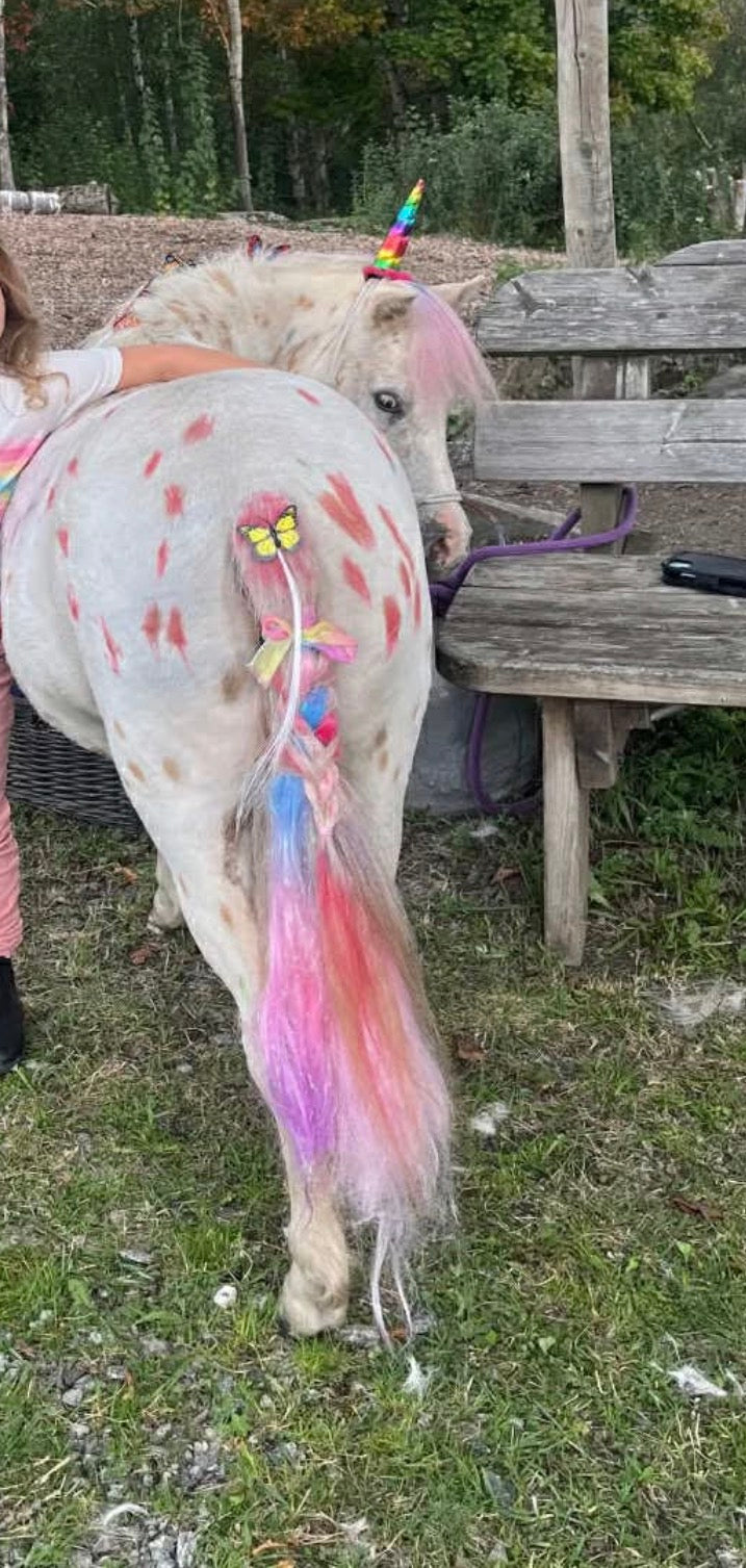 Hair Chalk- farge til hår